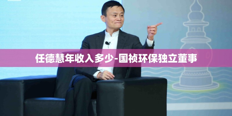 任德慧年收入多少-国祯环保独立董事