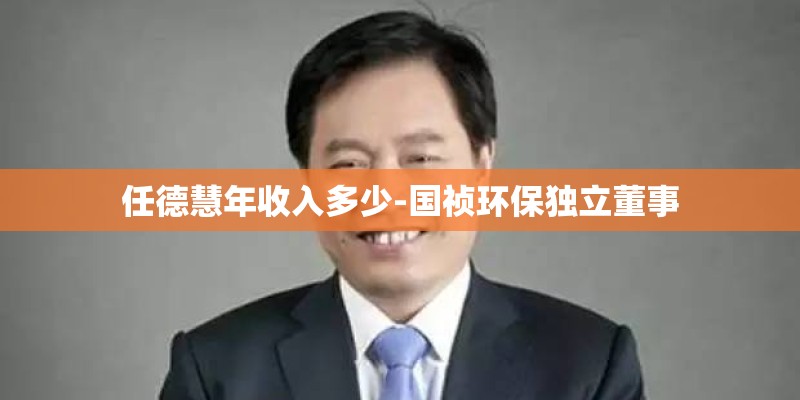 任德慧年收入多少-国祯环保独立董事