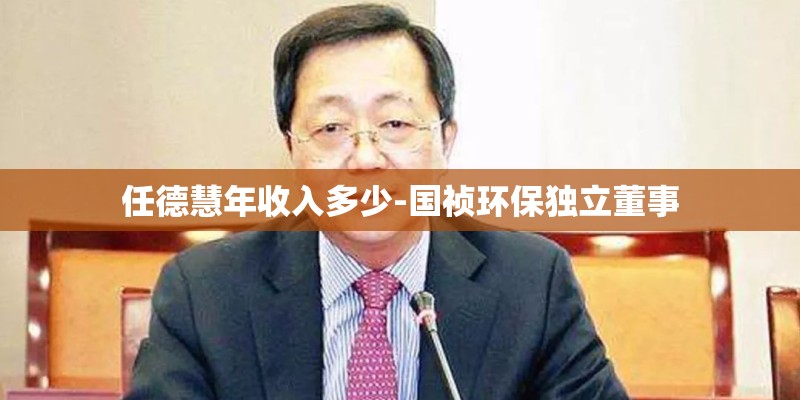任德慧年收入多少-国祯环保独立董事