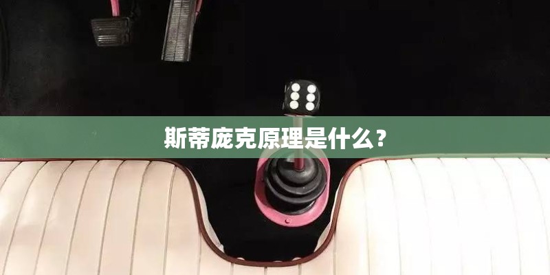 斯蒂庞克原理是什么？