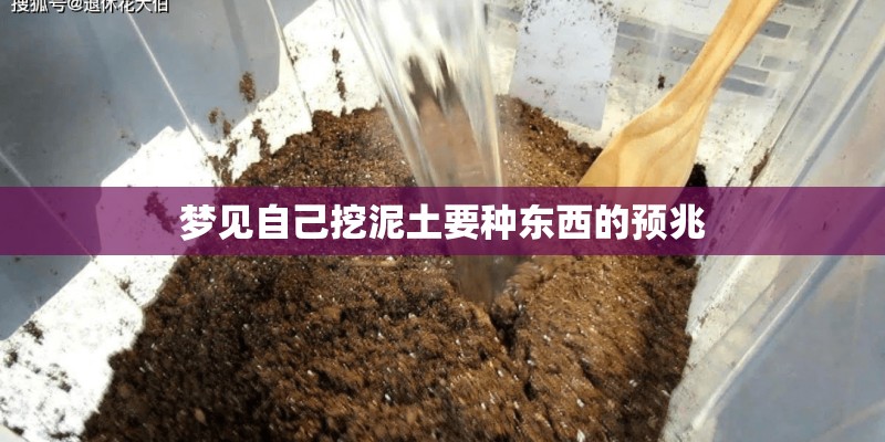 梦见自己挖泥土要种东西的预兆