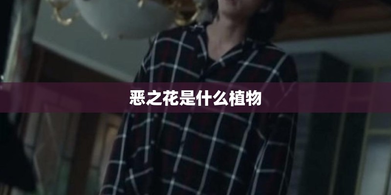 恶之花是什么植物