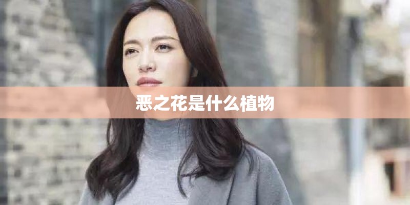 恶之花是什么植物