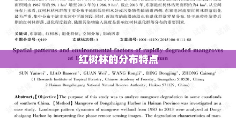 红树林的分布特点
