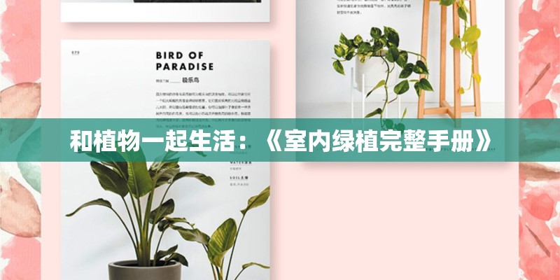 和植物一起生活：《室内绿植完整手册》