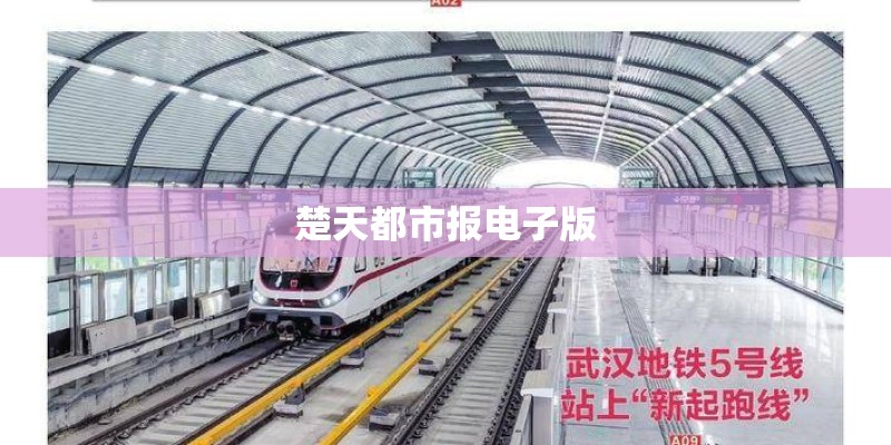 楚天都市报电子版