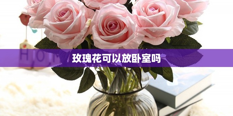 玫瑰花可以放卧室吗