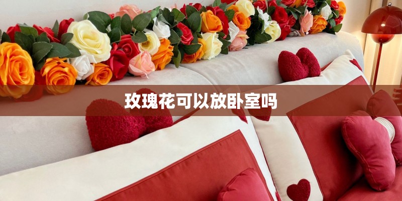玫瑰花可以放卧室吗