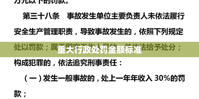 重大行政处罚金额标准