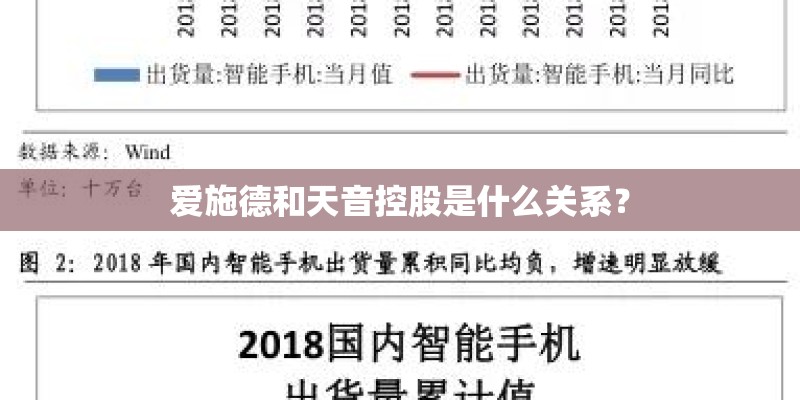 爱施德和天音控股是什么关系？