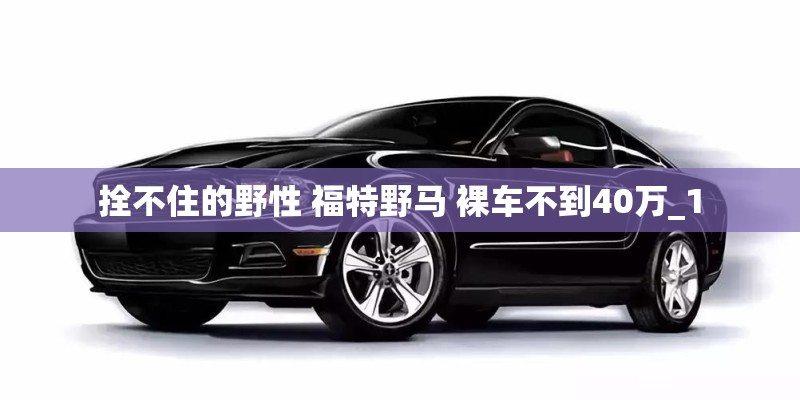 拴不住的野性 福特野马 裸车不到40万_1