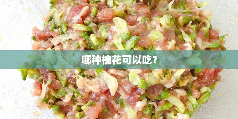 哪种槐花可以吃？