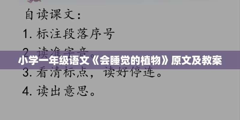 小学一年级语文《会睡觉的植物》原文及教案