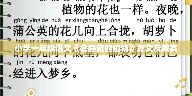 小学一年级语文《会睡觉的植物》原文及教案