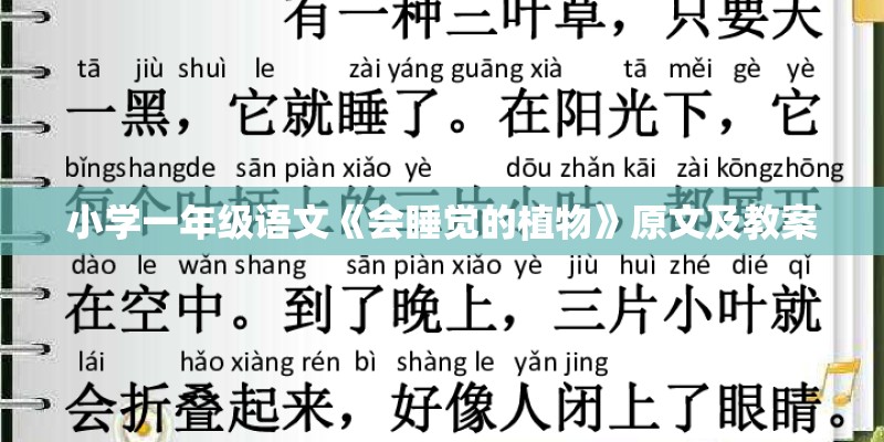 小学一年级语文《会睡觉的植物》原文及教案