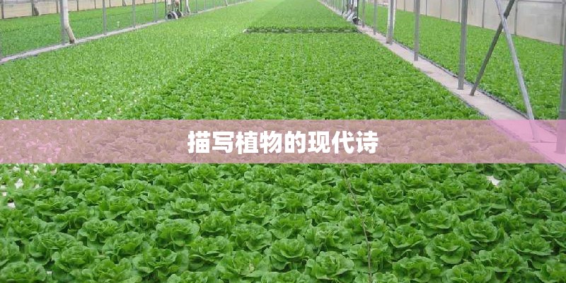 描写植物的现代诗