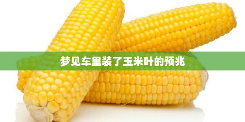 梦见车里装了玉米叶的预兆