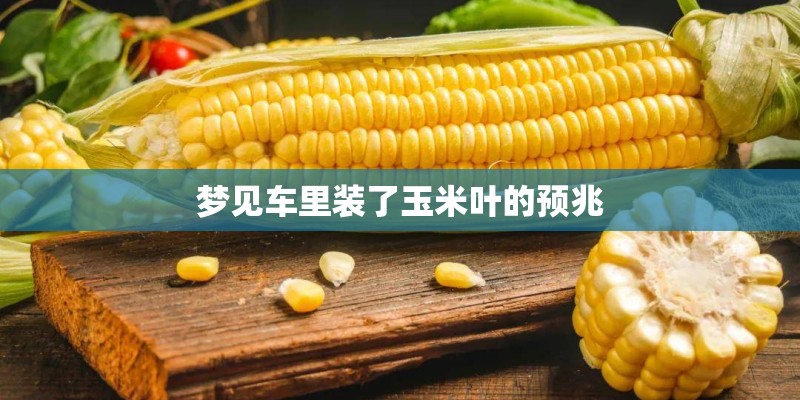 梦见车里装了玉米叶的预兆