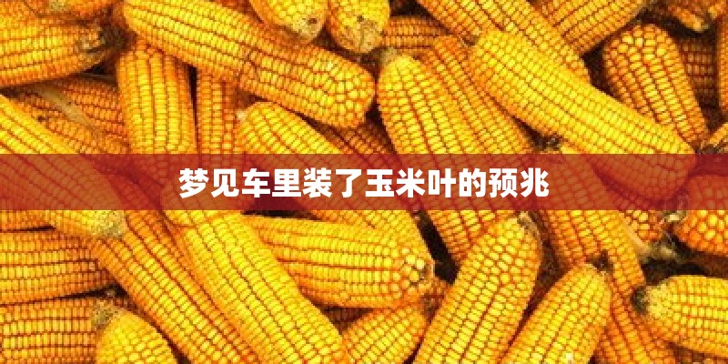 梦见车里装了玉米叶的预兆