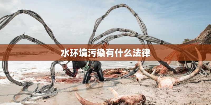 水环境污染有什么法律 水环境污染有什么法律