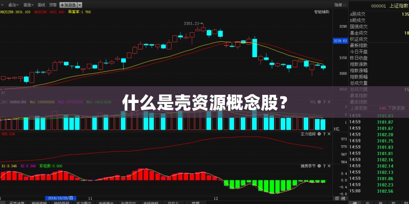 什么是壳资源概念股？