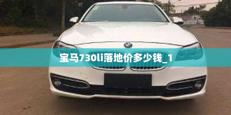 宝马730li落地价多少钱_1