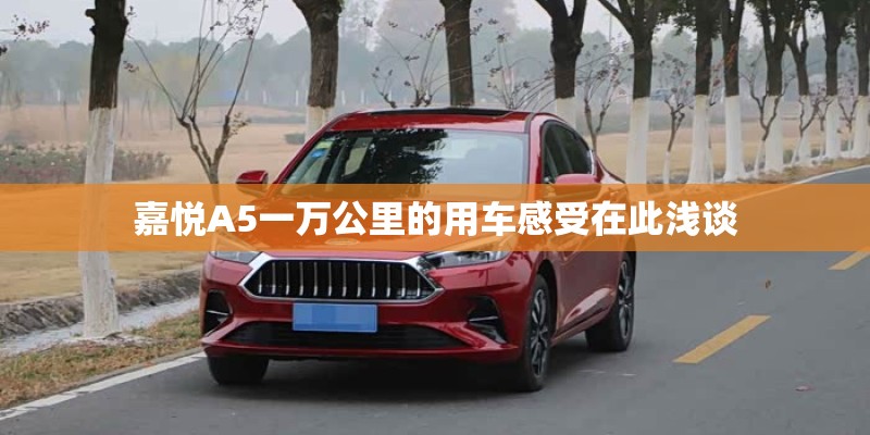 嘉悦A5一万公里的用车感受在此浅谈