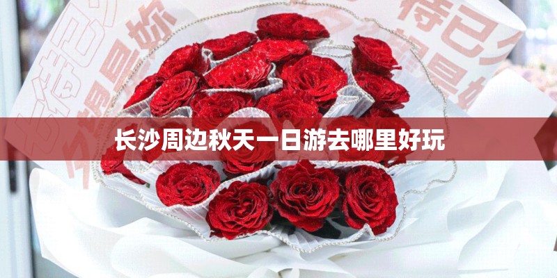 长沙周边秋天一日游去哪里好玩