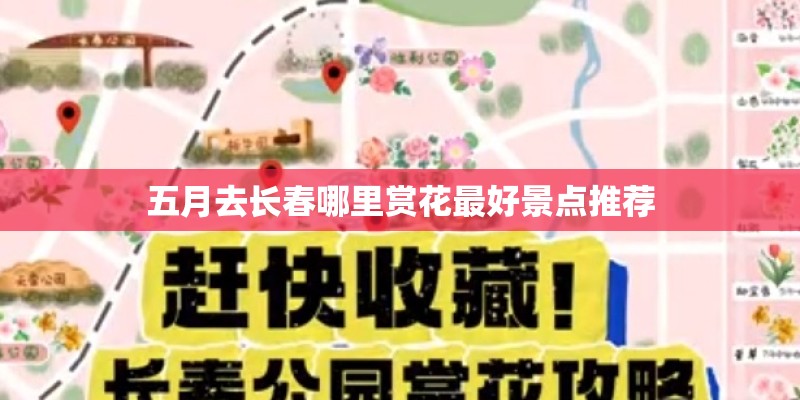 五月去长春哪里赏花最好景点推荐