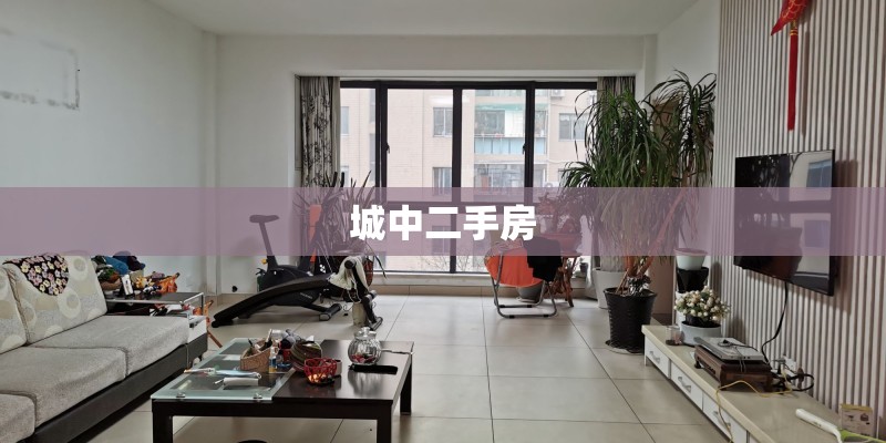 城中二手房