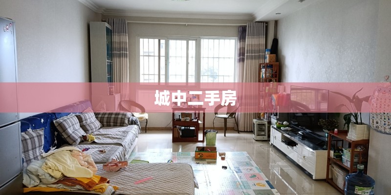 城中二手房