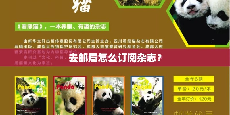 去邮局怎么订阅杂志？