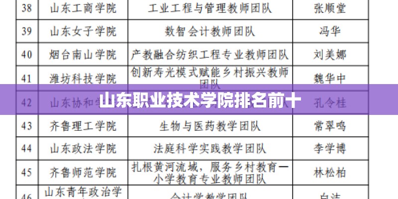 山东职业技术学院排名前十