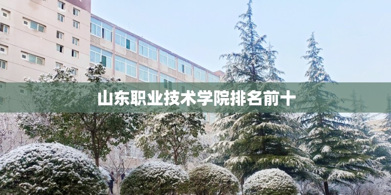 山东职业技术学院排名前十
