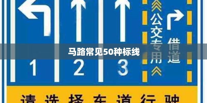 马路常见50种标线
