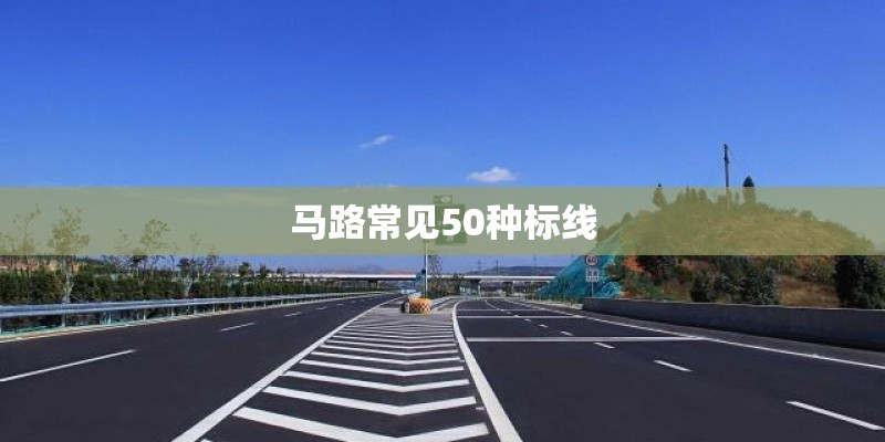 马路常见50种标线