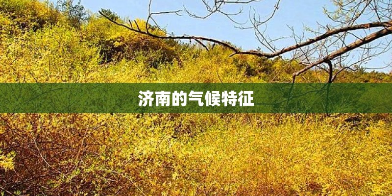 济南的气候特征