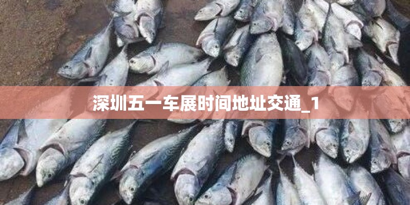 深圳五一车展时间地址交通_1 深圳五一车展时间地址交通_1