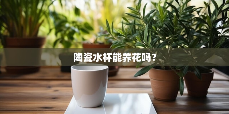 陶瓷水杯能养花吗？