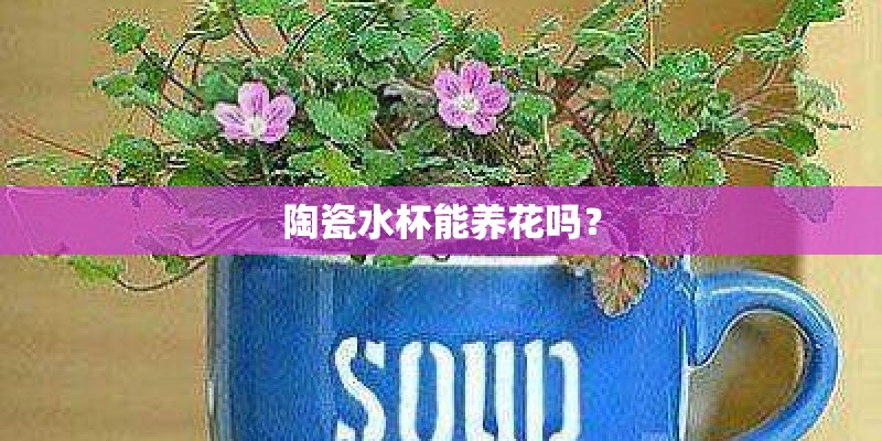 陶瓷水杯能养花吗？