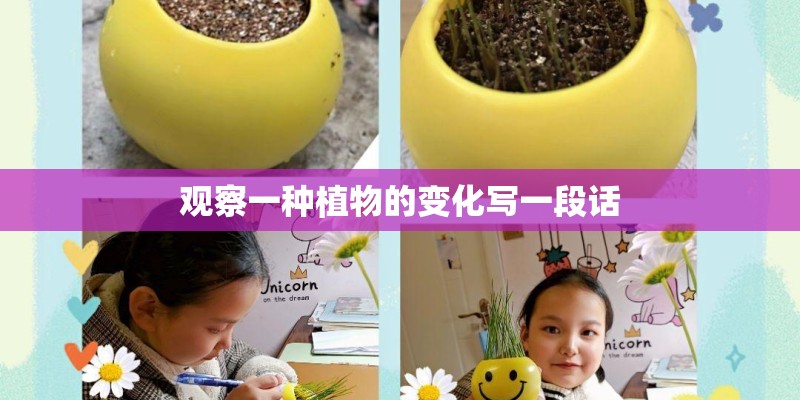 观察一种植物的变化写一段话