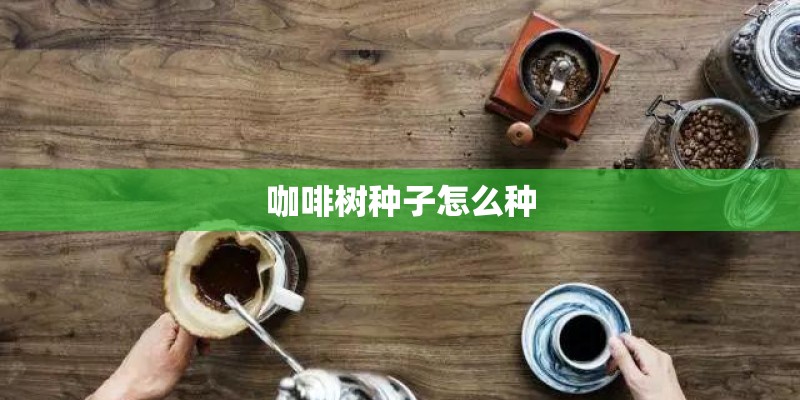 咖啡树种子怎么种