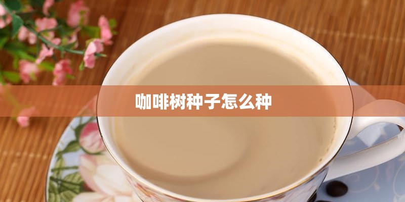 咖啡树种子怎么种