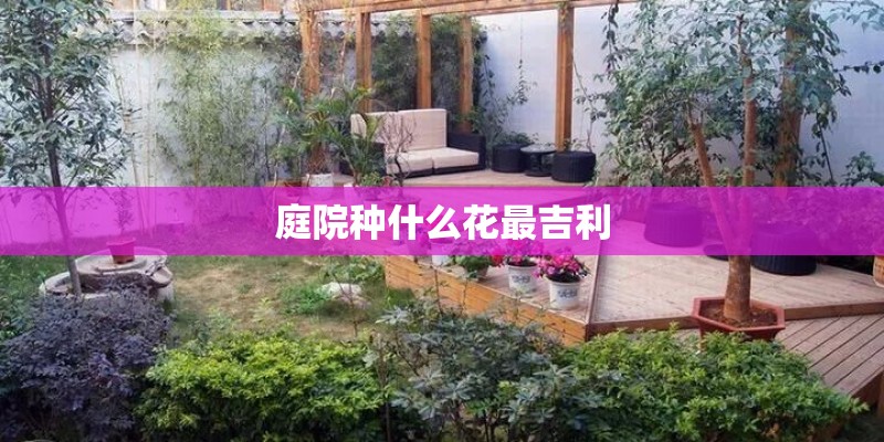 庭院种什么花最吉利
