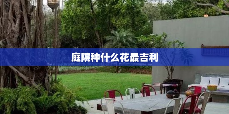 庭院种什么花最吉利