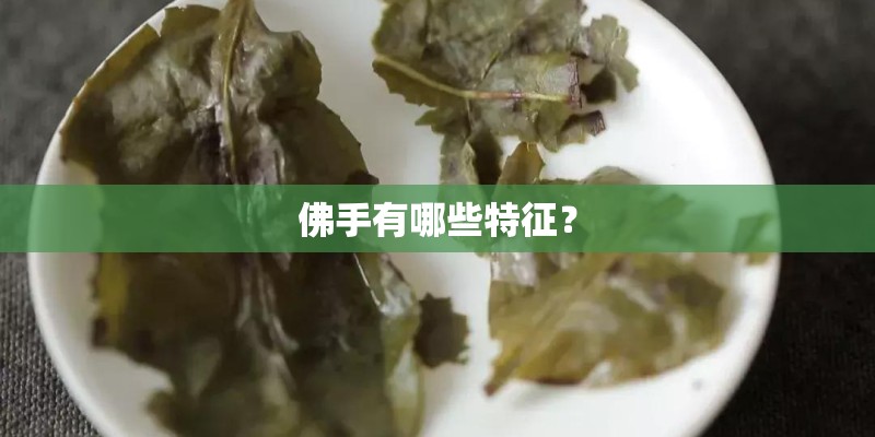 佛手有哪些特征？