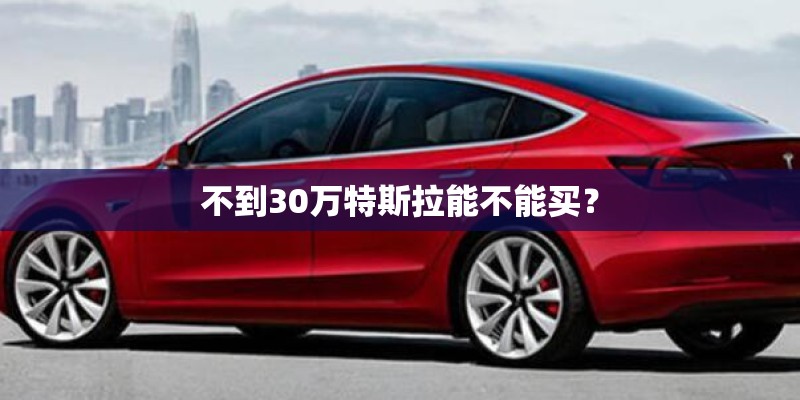 不到30万特斯拉能不能买？