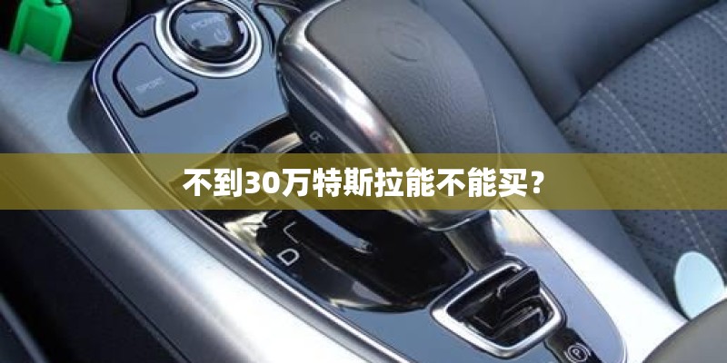 不到30万特斯拉能不能买？