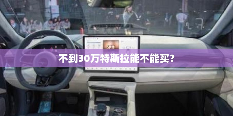 不到30万特斯拉能不能买？