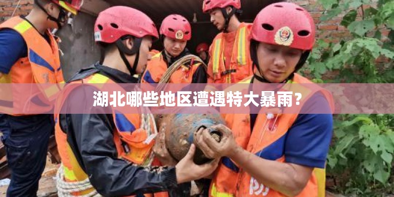 湖北哪些地区遭遇特大暴雨？